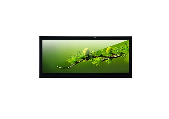 12.3 Inch TFT LCD Display